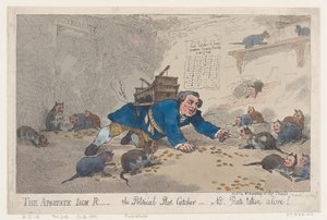 叛教者杰克-罗宾逊，政治捕鼠者-N.B.活捉的老鼠！，3月......，1784年3月1日。 作者 托马斯·罗兰森