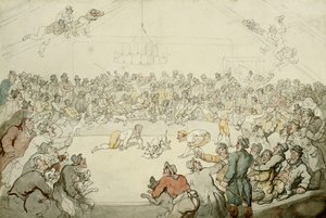 威斯敏斯特·皮特，1798年 作者 托马斯·罗兰森