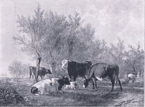 有牛的风景，来自《艺术杂志》1893年，Cassell和公司 作者 托马斯·西德尼·库珀