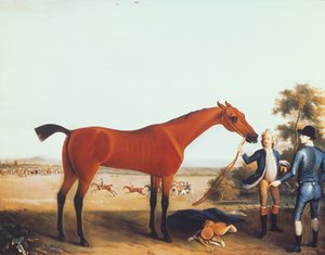 德文郡公爵的赛马 Childers