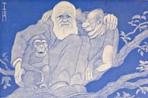 1909年卡通达尔文与猴子的细节