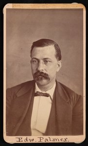 爱德华-帕尔默的肖像，1829-1911年，1900年以前。 作者 托马斯·威廉·斯米利