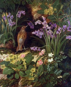 音乐之旅 作者 托马斯·沃西