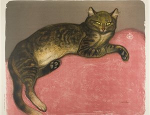 冬天垫子上的猫