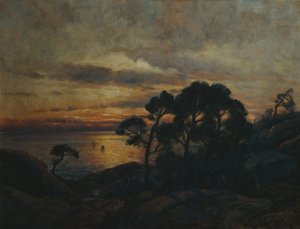 夕阳下的松树