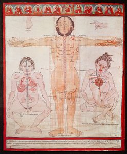 解剖图表，1938年（布上画布上的钢笔和水彩画） 作者 藏族学校