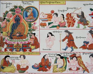藏药手稿（详见389729）