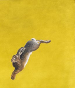拱形的黄色，水彩和guache 640 gsm纸，101.6 x 86.3cm