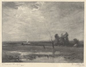 风景, 午后 作者 蒂莫西·科尔