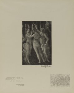 意大利古代大师 作者 蒂莫西·科尔