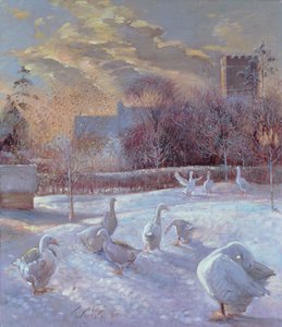 First Light，1994 作者 蒂莫西·伊斯顿