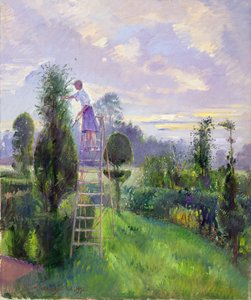 塑形 作者 蒂莫西·伊斯顿