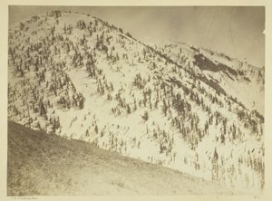 雪峰，内华达州布尔润矿区
