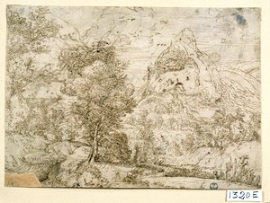 鸟儿飞翔的风景（纸本水墨画）