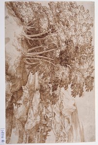 左侧为树木，背景为城市的风景（纸上钢笔和墨水） 作者 提香（c.1488-1576）