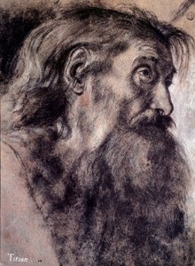 老人头图 提兹亚诺-维切利奥（Tiziano Vecellio），又称提香（1485-1576），16世纪 巴黎，卢浮宫博物馆 作者 提香（c.1488-1576）
