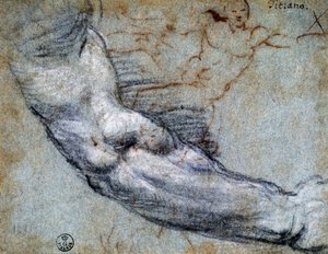 提香（约1488-1576）的手臂研究，图画 作者 提香（c.1488-1576）