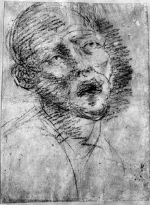 荒野之首，c1525，1937年 作者 蒂齐亚诺·韦切利（Tiziano Vecelli）