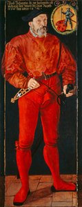苏黎世标准持票人Jacob Schwytzer的肖像，1564年