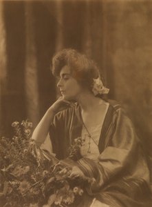 劳拉-德雷福斯-巴尼 作者 托普尼尔·罗伊松纳