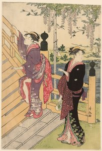 欣赏龟户神社的紫藤花 作者 永永鸟居