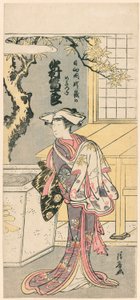 中村富十郎一世在话剧《ちょう鳥居とっりごつね》中饰演雌狐（中村富十郎の日向の国 Ubagatakeのmegitsune） 作者 永永鸟居