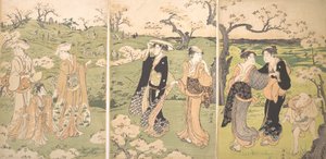 年轻的女士们在赤山观赏樱花。 作者 永永鸟居