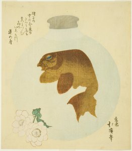 带有金鱼图案的瓶子 作者 东东屋北海