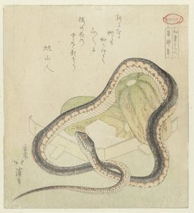 过去和现在听到的事物选集
菰文集
日本著作比较（系列名称）
Washo kurabe》（物上的系列名称） 作者 极三人