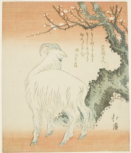 李树下的山羊 作者 东东屋北海