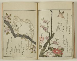 Kyoka hyakucho Kocho 作者 东东屋北海