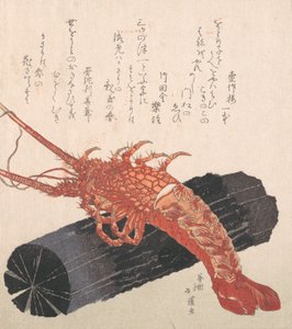 一块木炭上的龙虾。 作者 东东屋北海