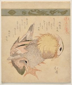 一对鸳鸯 作者 东东屋北海