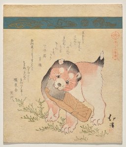 小狗与干鲑鱼片 作者 东东屋北海