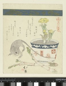 老鼠和碗与阿多尼斯
三十六鸟系列（系列名称）
三十六鳥（系列標題在物件上） 作者 东东屋北海