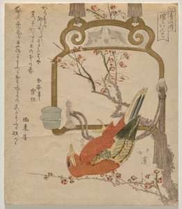 红鹦鹉（Sh?） 作者 东东屋北海