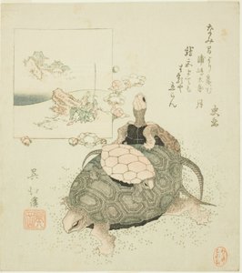 海龟和浦岛太郎 作者 东东屋北海