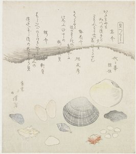 遗忘贝、梅花贝、樱花贝 Wasuregai、umenohanagai、sakuragai（物体上的标题） 贝壳系列（系列标题） Kaitsukushi（物体上的系列标题） 作者 东东屋北海