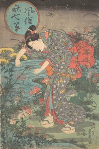 时尚的七种秋季植物 Fuzoku aki nanakusa, first hal...，19世纪上半叶。 作者 丰原贞良
