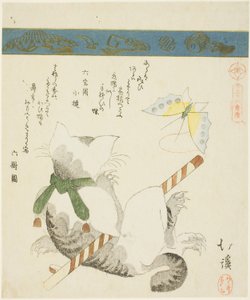 猫玩玩具蝴蝶，出自《三十六鸟图》系列 作者 丰田福建