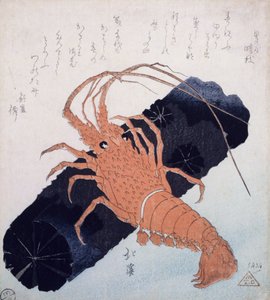 海螯虾与木炭块，1830（彩色木版画） 作者 丰田福建