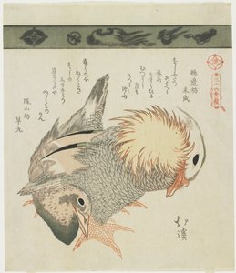 鸳鸯和德雷克，c。 1830 作者 丰田福建