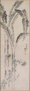 香蕉树和菊花 作者 椿金山