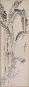 香蕉植物和菊花，十九世纪。 作者 椿金山