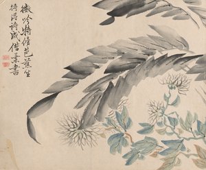 桑树的菊花和叶子。 作者 椿金山