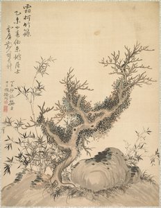 霜枝和矮竹 作者 椿金山