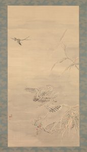 鹰抓着一只小鸟，19世纪。