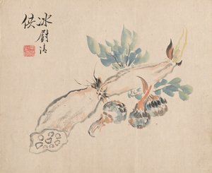 莲藕和金针菜 作者 椿金山