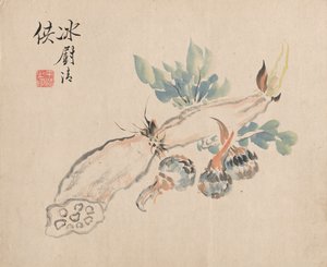 莲Ro和加法舌。 作者 椿金山