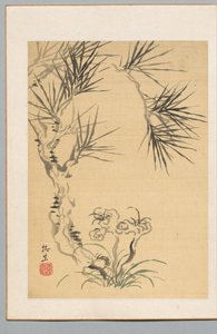松树和真菌，十九世纪。 作者 椿金山